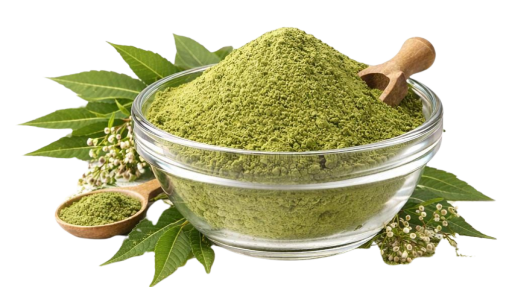 Untitled Design 6 1024x571